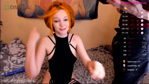 meowpushka  04-12-2022